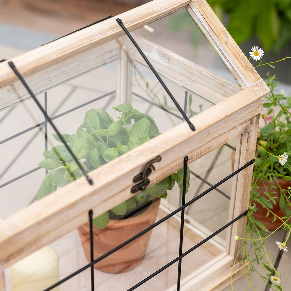 Set of two greenhouse lanterns