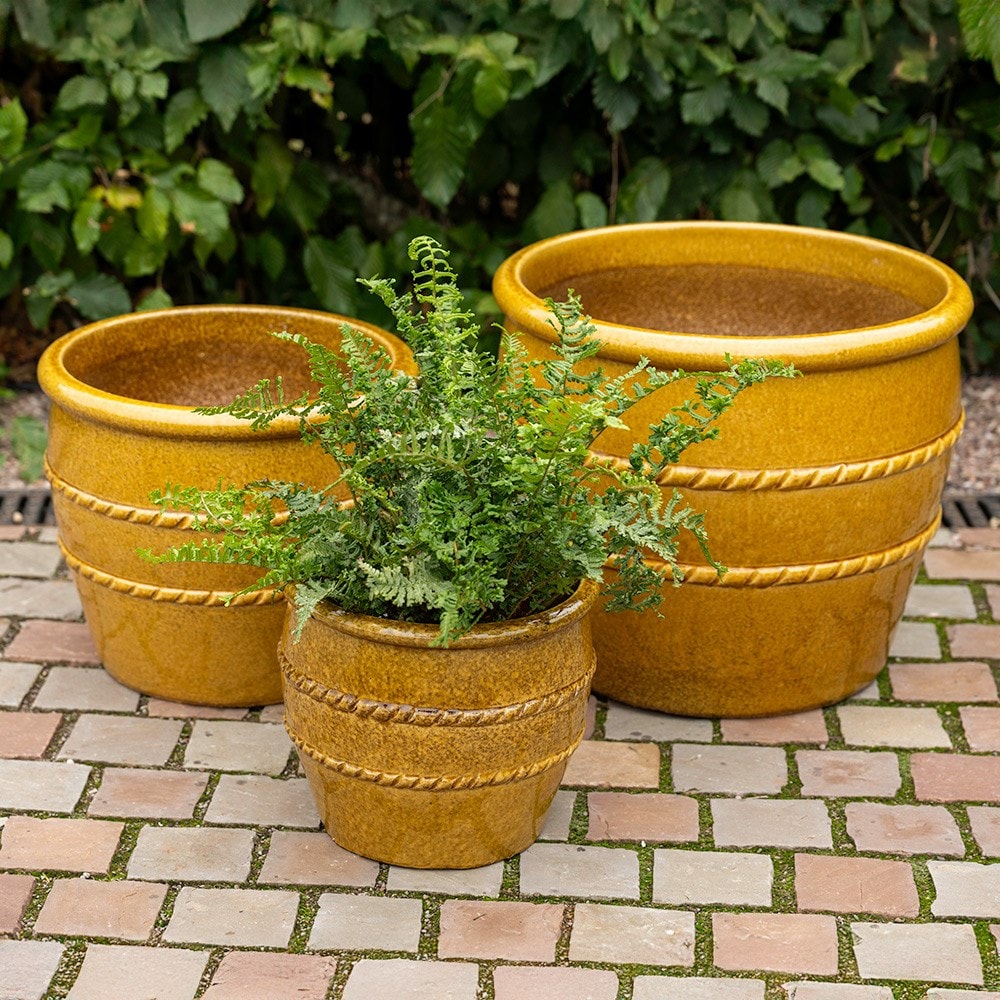 Glazed terracotta planter with rope detail - ochre