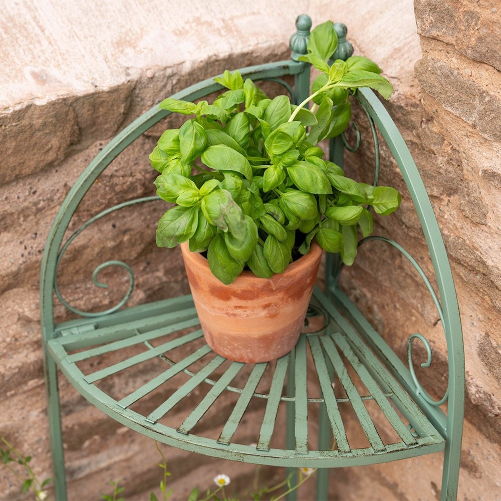 Scroll detail corner pot stand