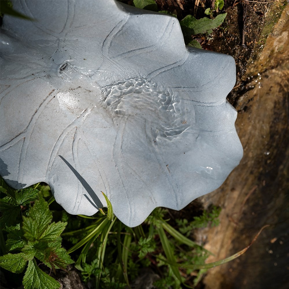 Solar pond edge leaf water feature