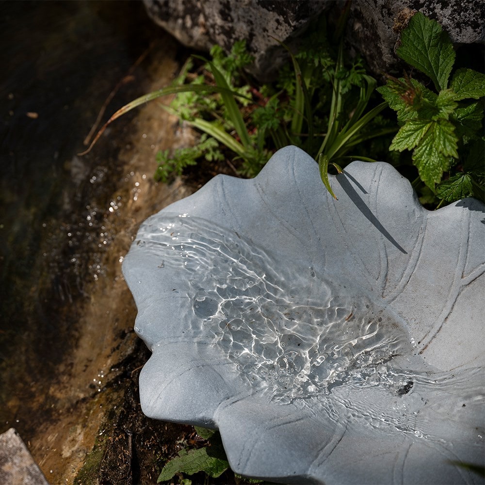 Solar pond edge leaf water feature