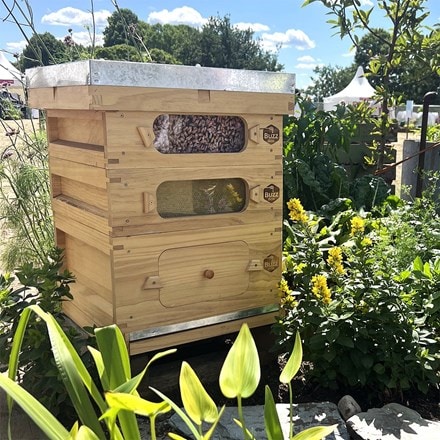 Complete bee keeper starter pack - buzz box