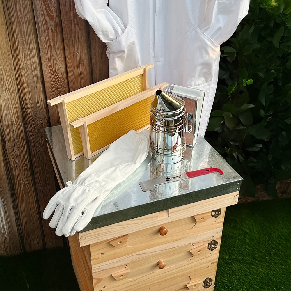 Complete bee keeper starter pack - buzz box