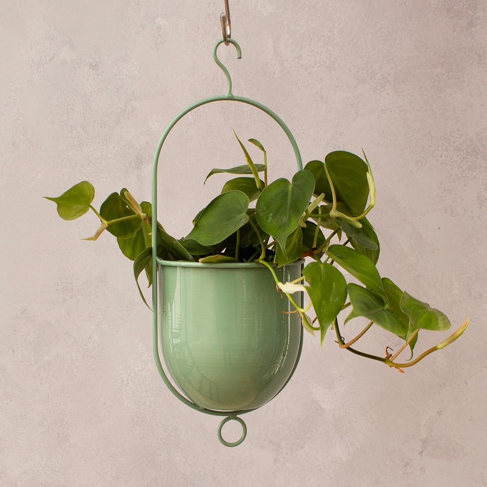 Hanging metal plant pot - mint