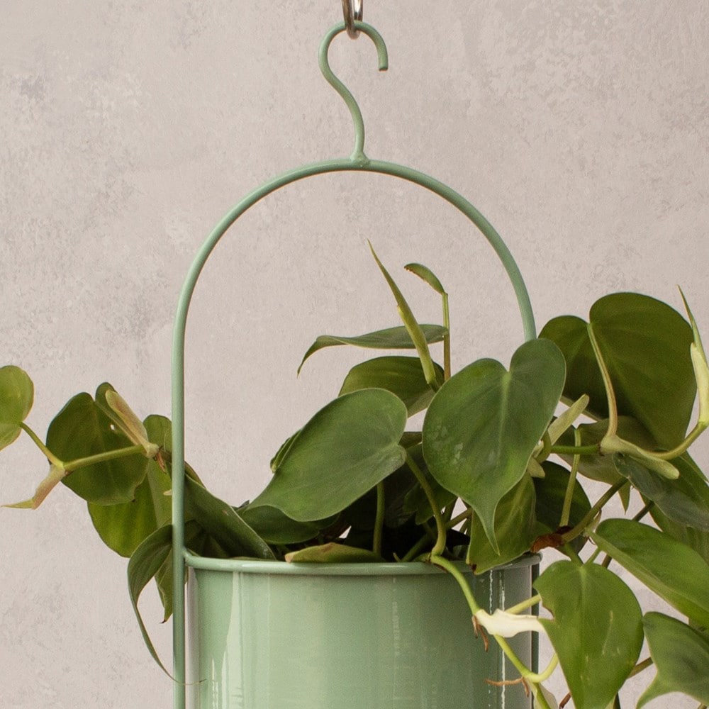 Hanging metal plant pot - mint