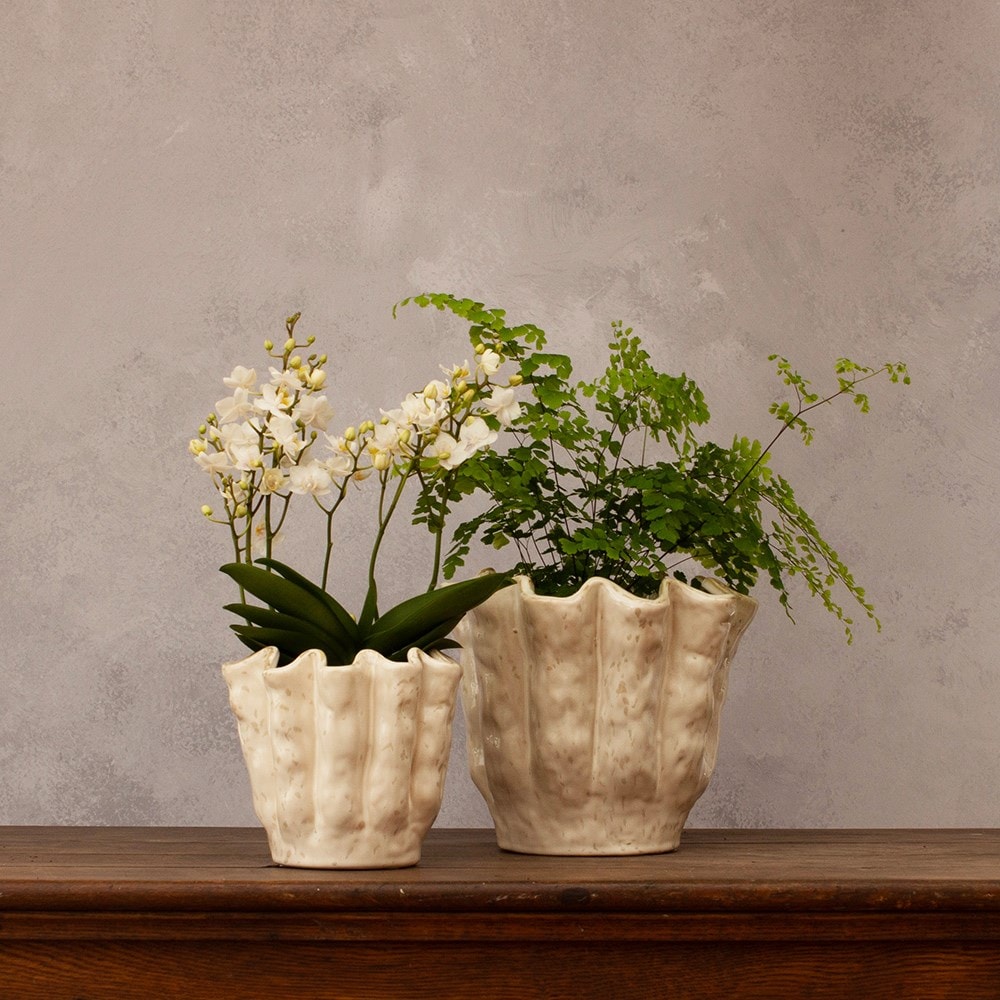 Rustic scalloped plant pot - ivory