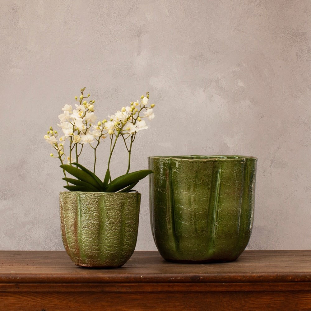 Glazed textured plant pot - green