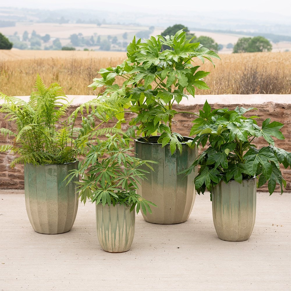 Product options image