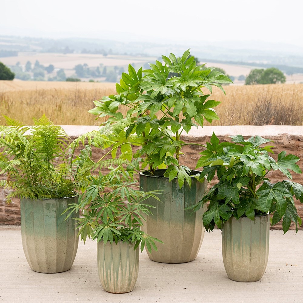 Ombre reactive glaze tall planter 