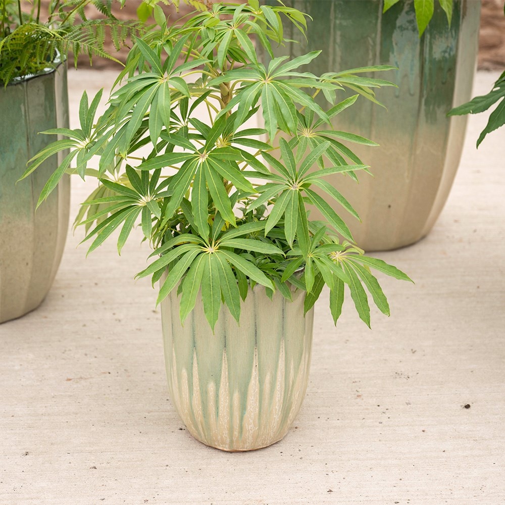 Ombre reactive glaze tall planter 