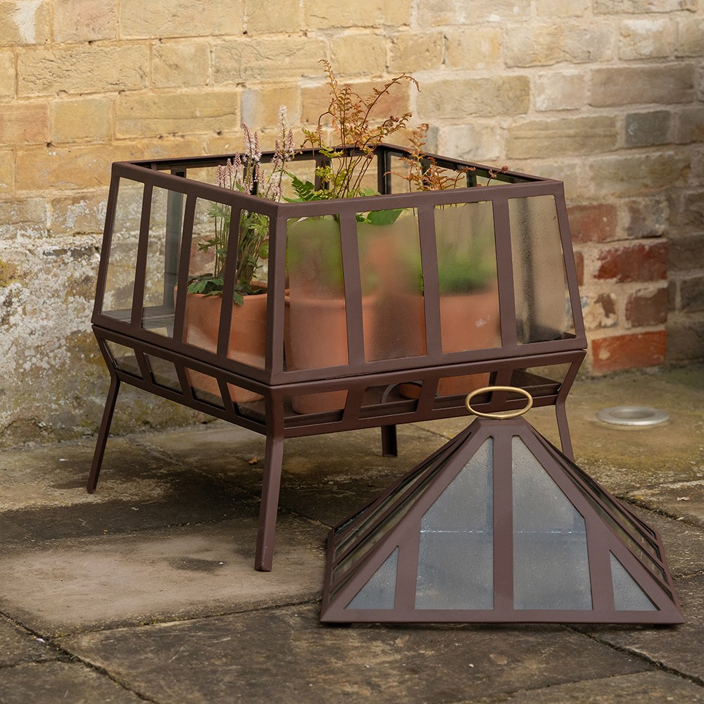 Square Victorian growhouse - dark auburn