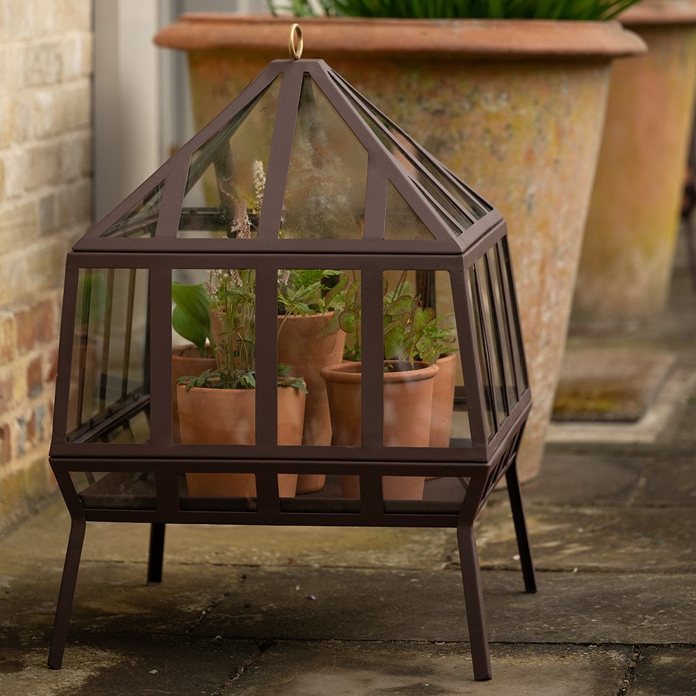 Square Victorian growhouse - dark auburn