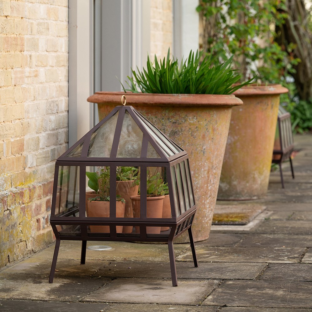 Square Victorian growhouse - dark auburn