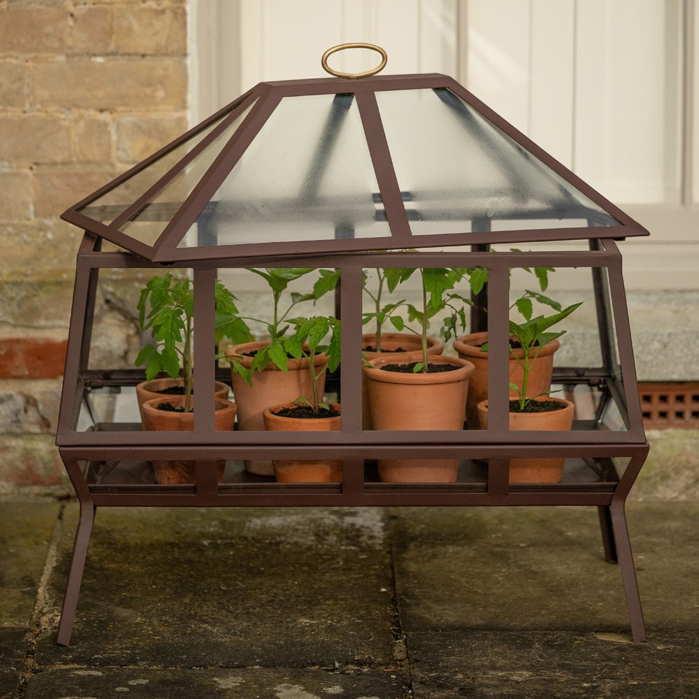 Rectangular Victorian growhouse - dark auburn