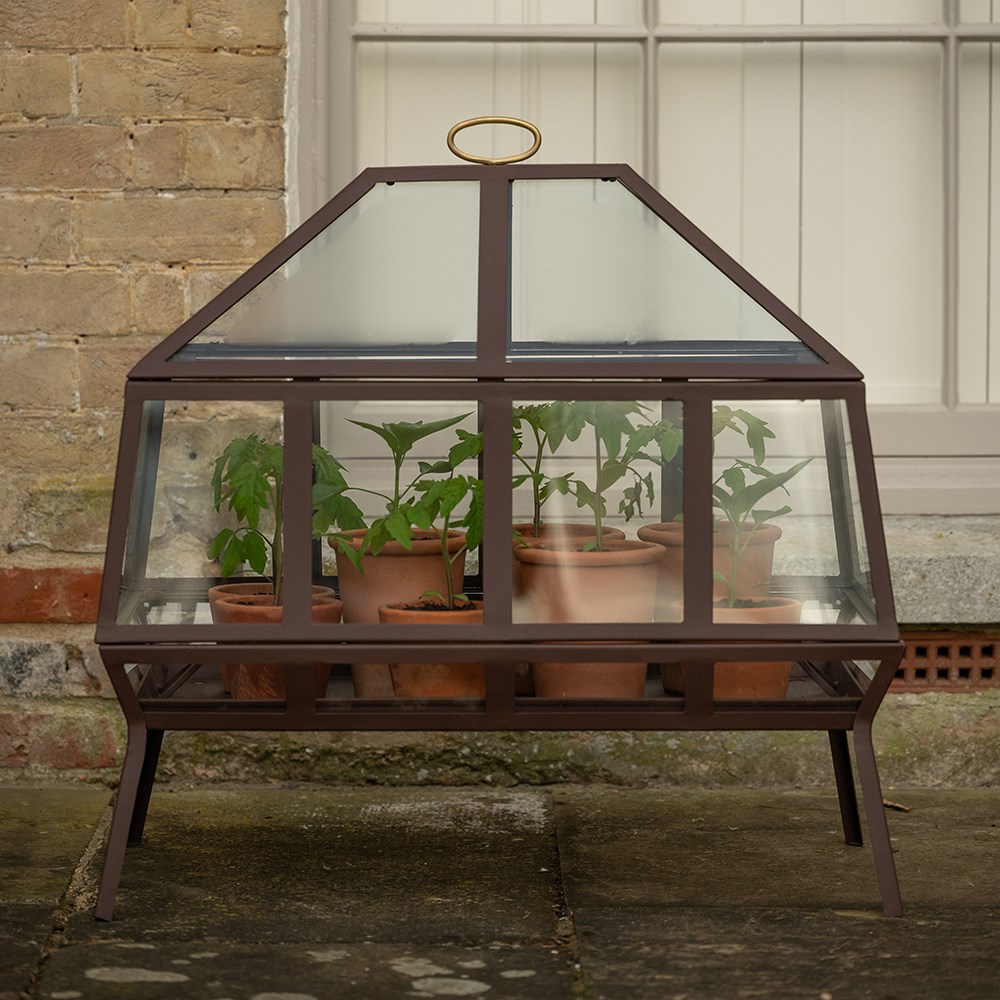 Rectangular Victorian growhouse - dark auburn