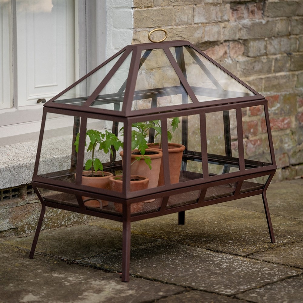 Rectangular Victorian growhouse - dark auburn