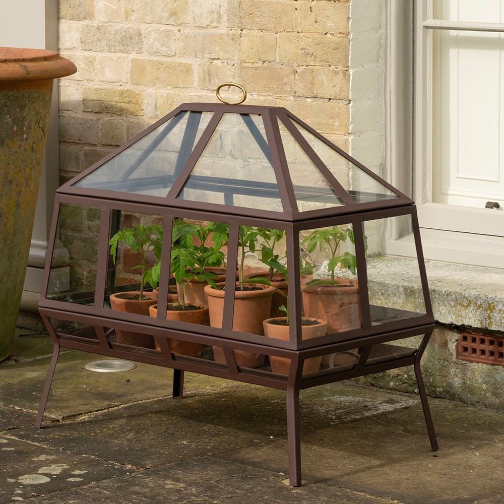 Rectangular Victorian growhouse - dark auburn