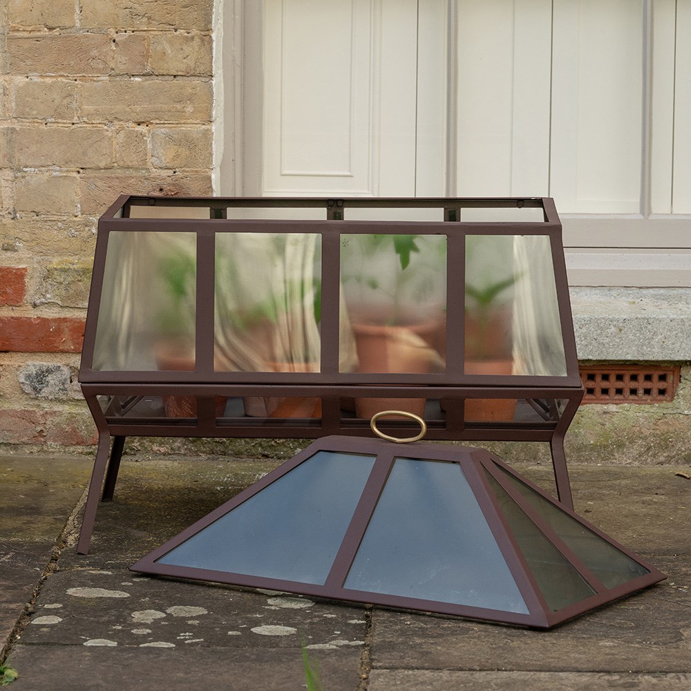 Rectangular Victorian growhouse - dark auburn