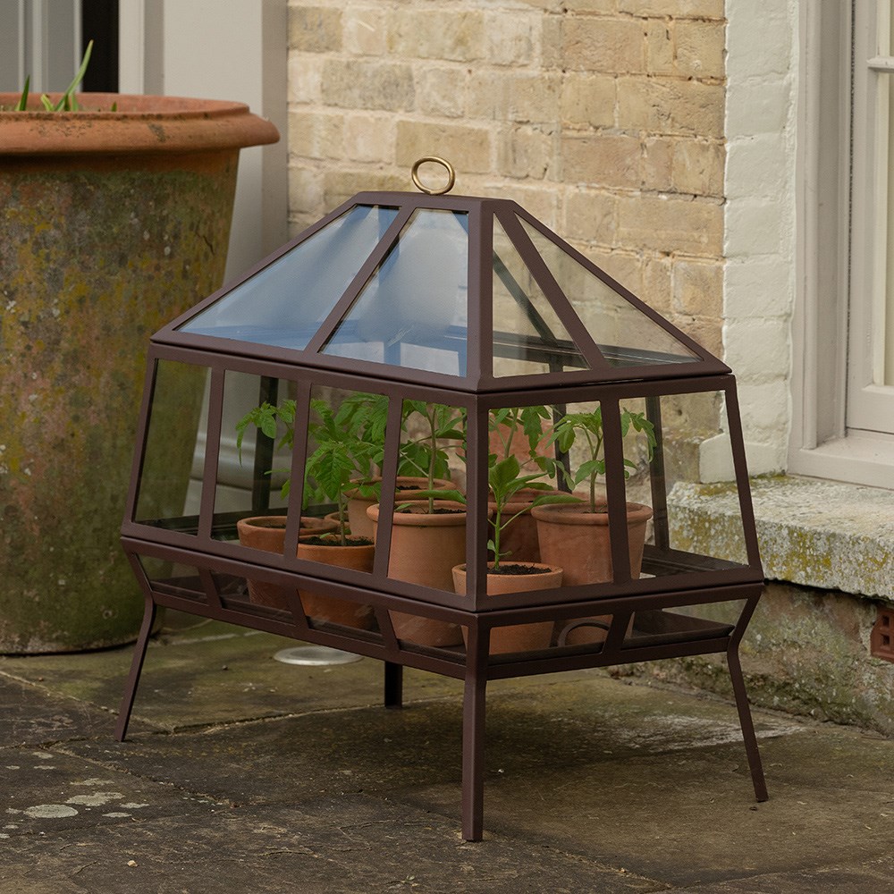 Rectangular Victorian growhouse - dark auburn