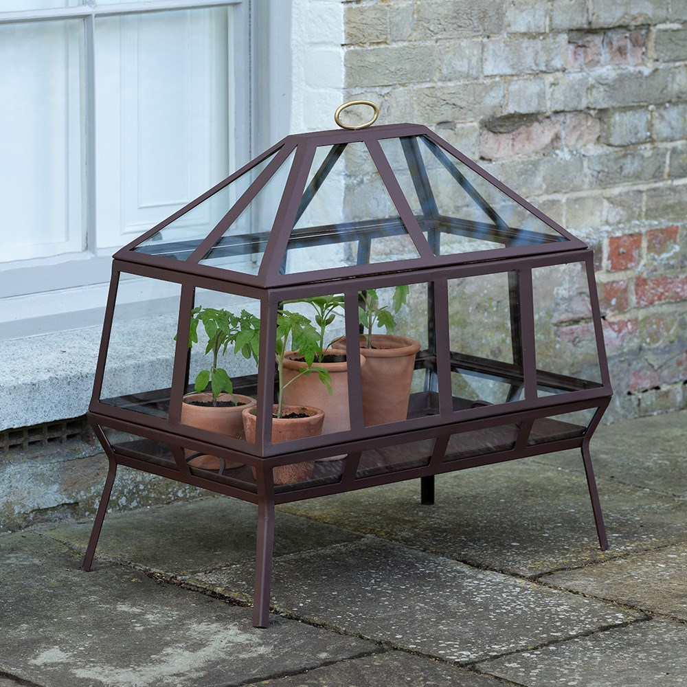 Rectangular Victorian growhouse - dark auburn