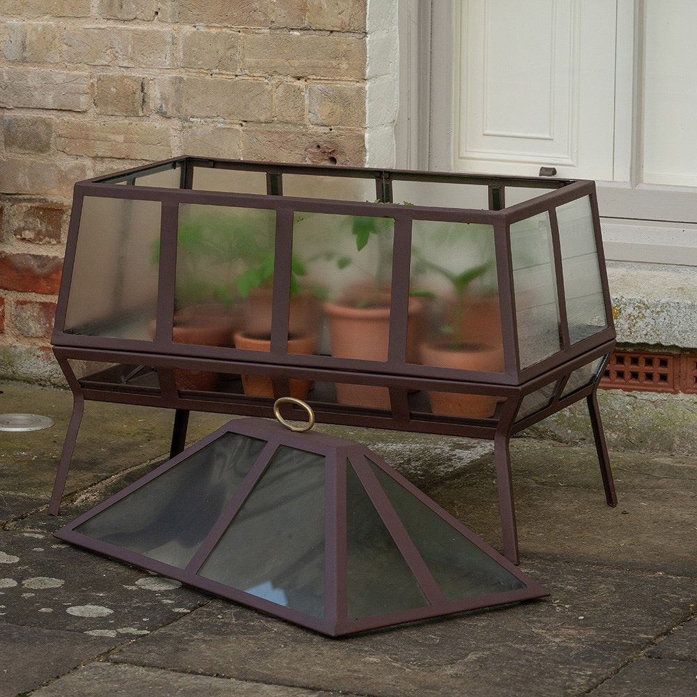 Rectangular Victorian growhouse - dark auburn