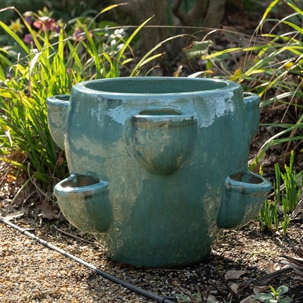 Strawberry planter - aqua