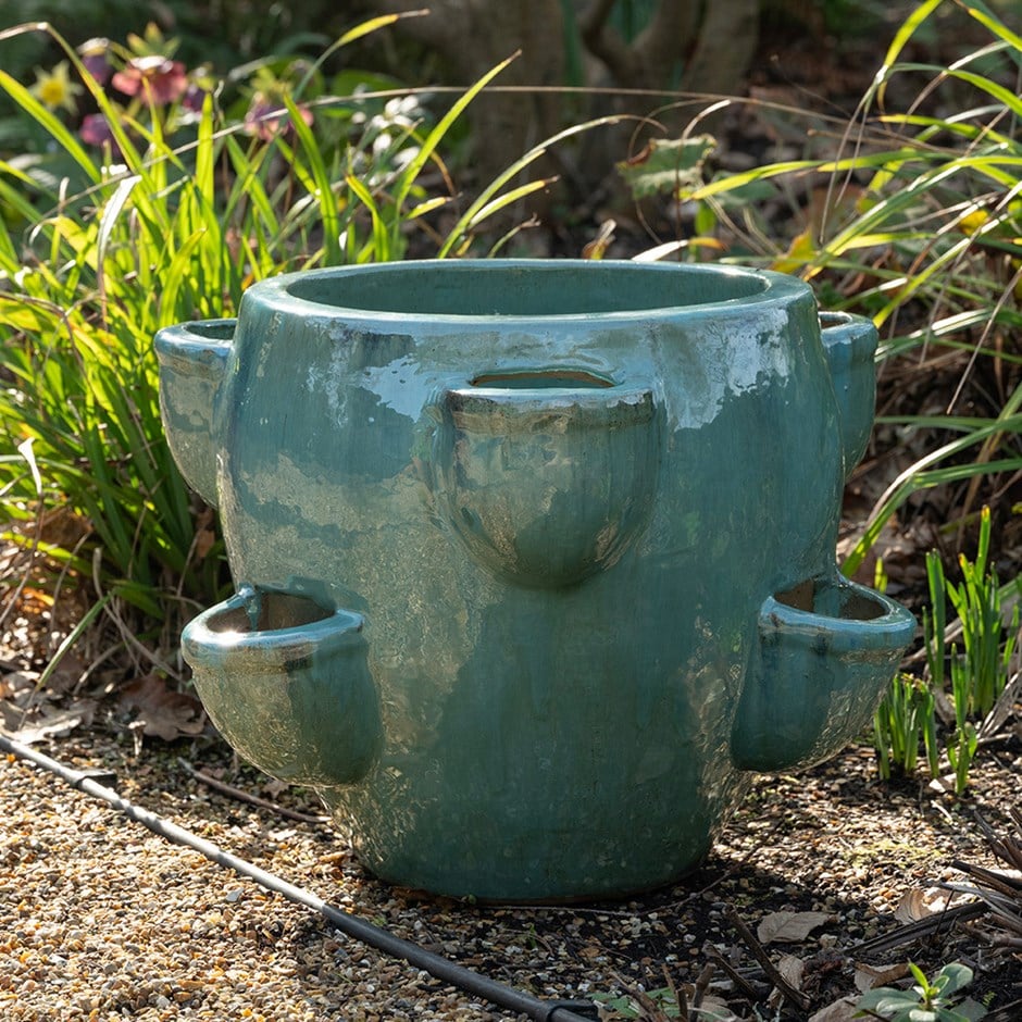 Strawberry planter - aqua