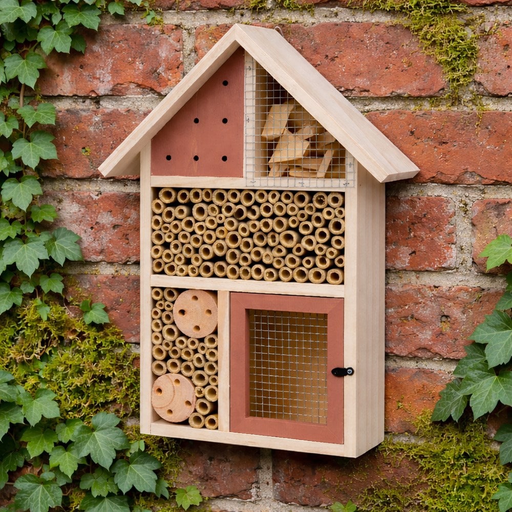 Product options image