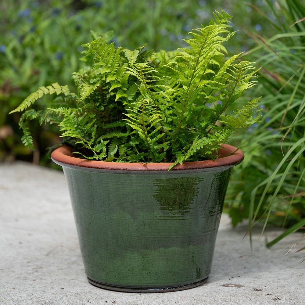 Glazed terracotta terrace pot - moss