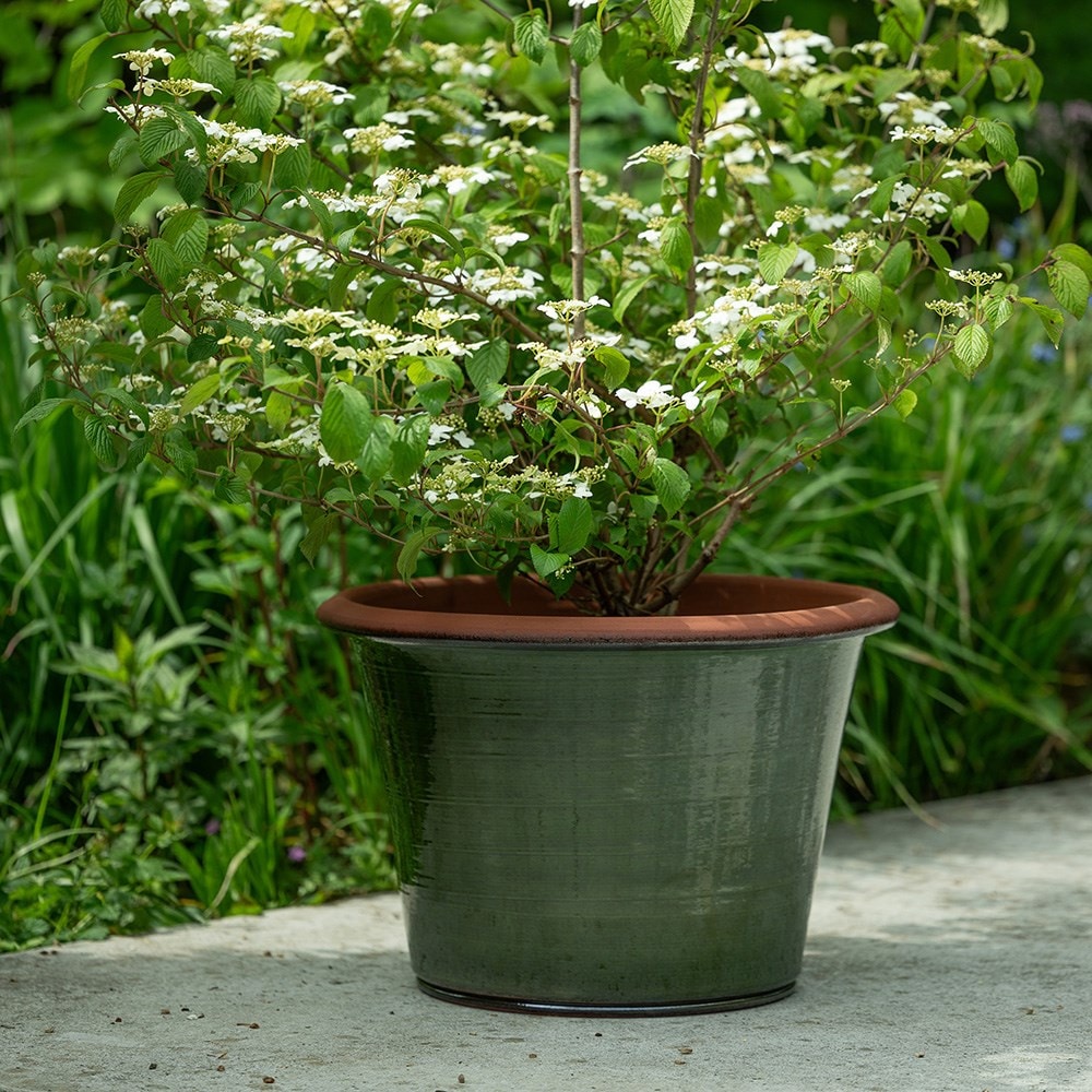 Glazed terracotta terrace pot - moss