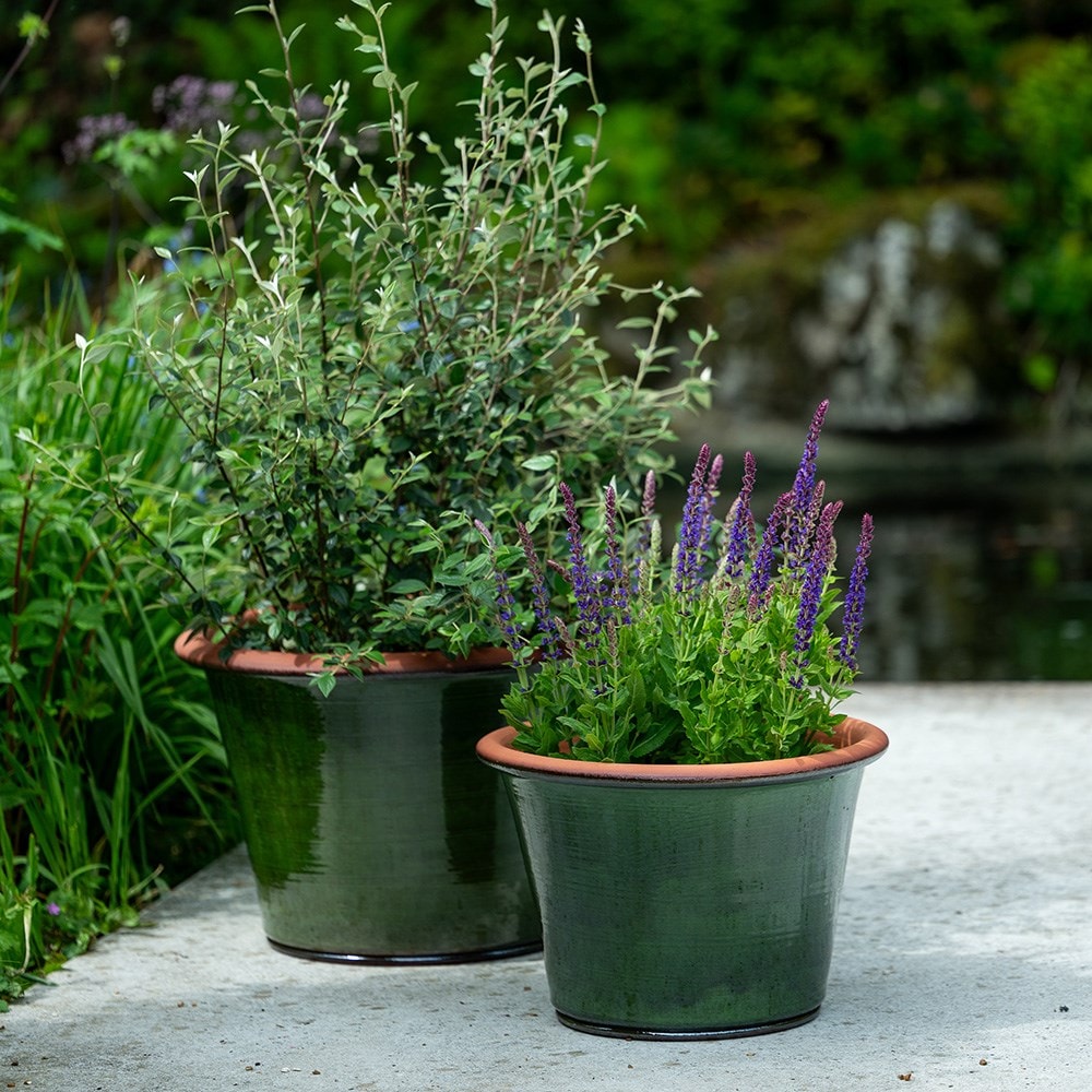 Glazed terracotta terrace pot - moss
