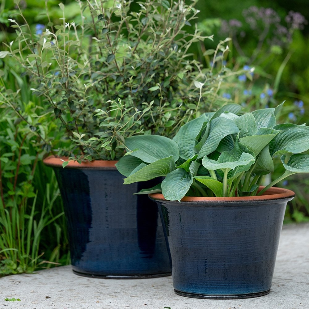 Glazed terracotta terrace pot - ink
