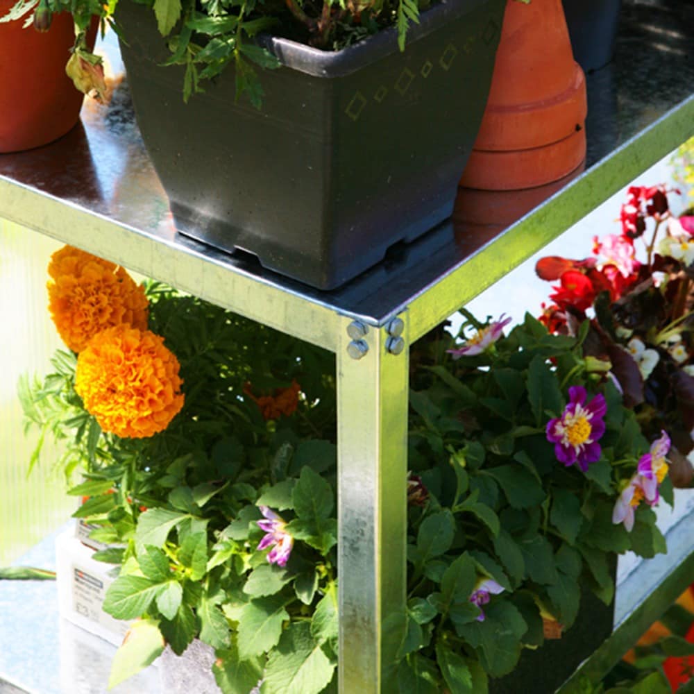 Essential 2 tier greenhouse staging - silver