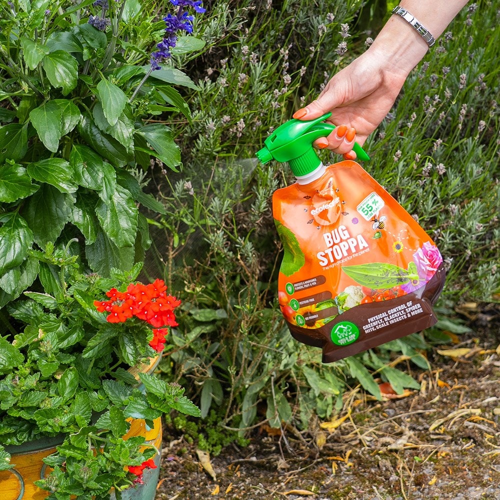Ecofective bug stoppa pest protection