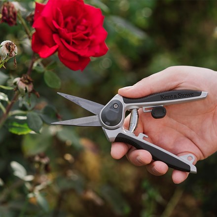 Kent & Stowe Eversharp garden snips