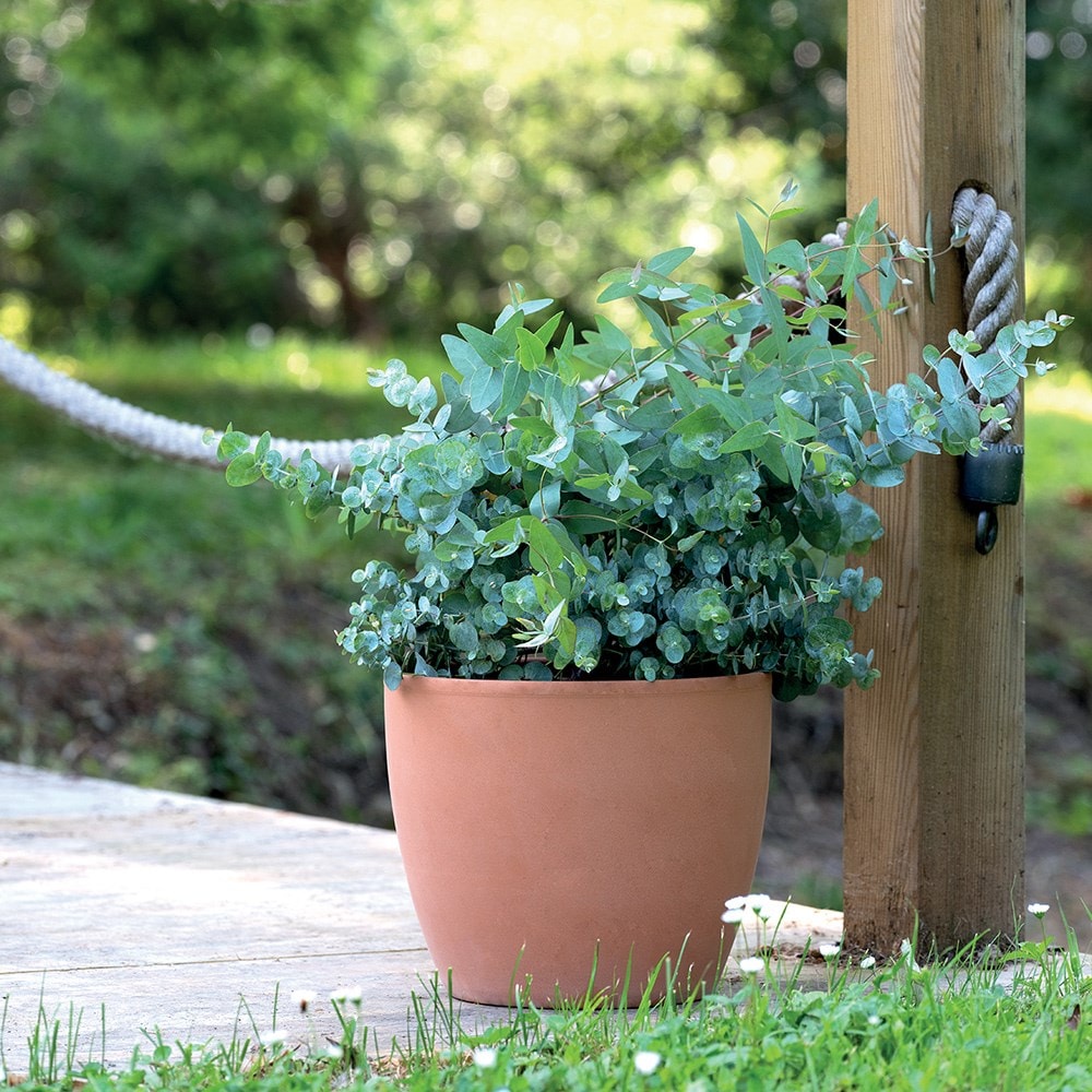 Product options image