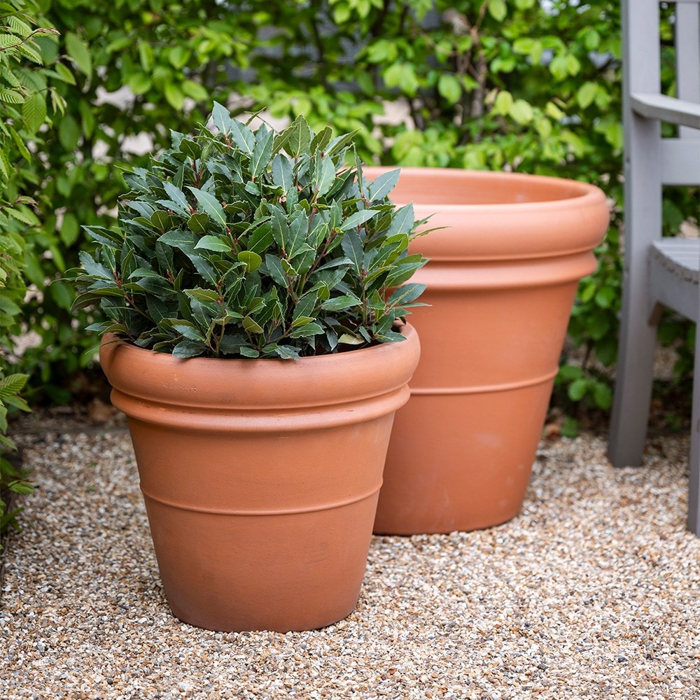 Ridged Italian terracotta pot - classic terracotta