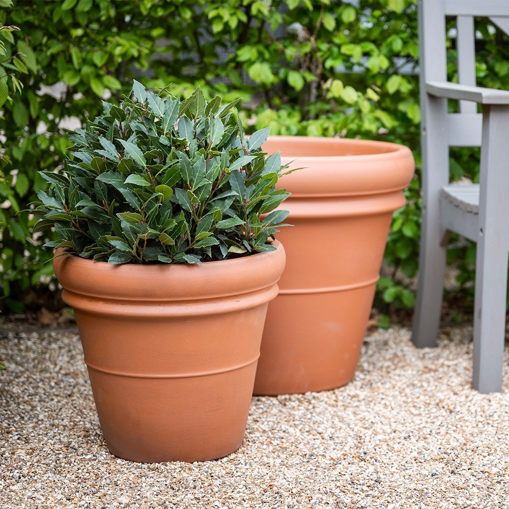 Ridged Italian terracotta pot - classic terracotta