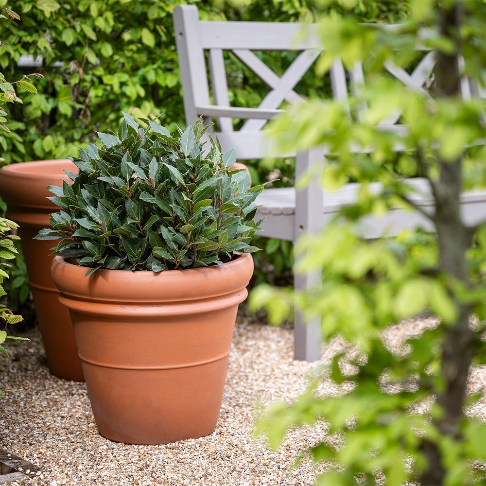 Ridged Italian terracotta pot - classic terracotta