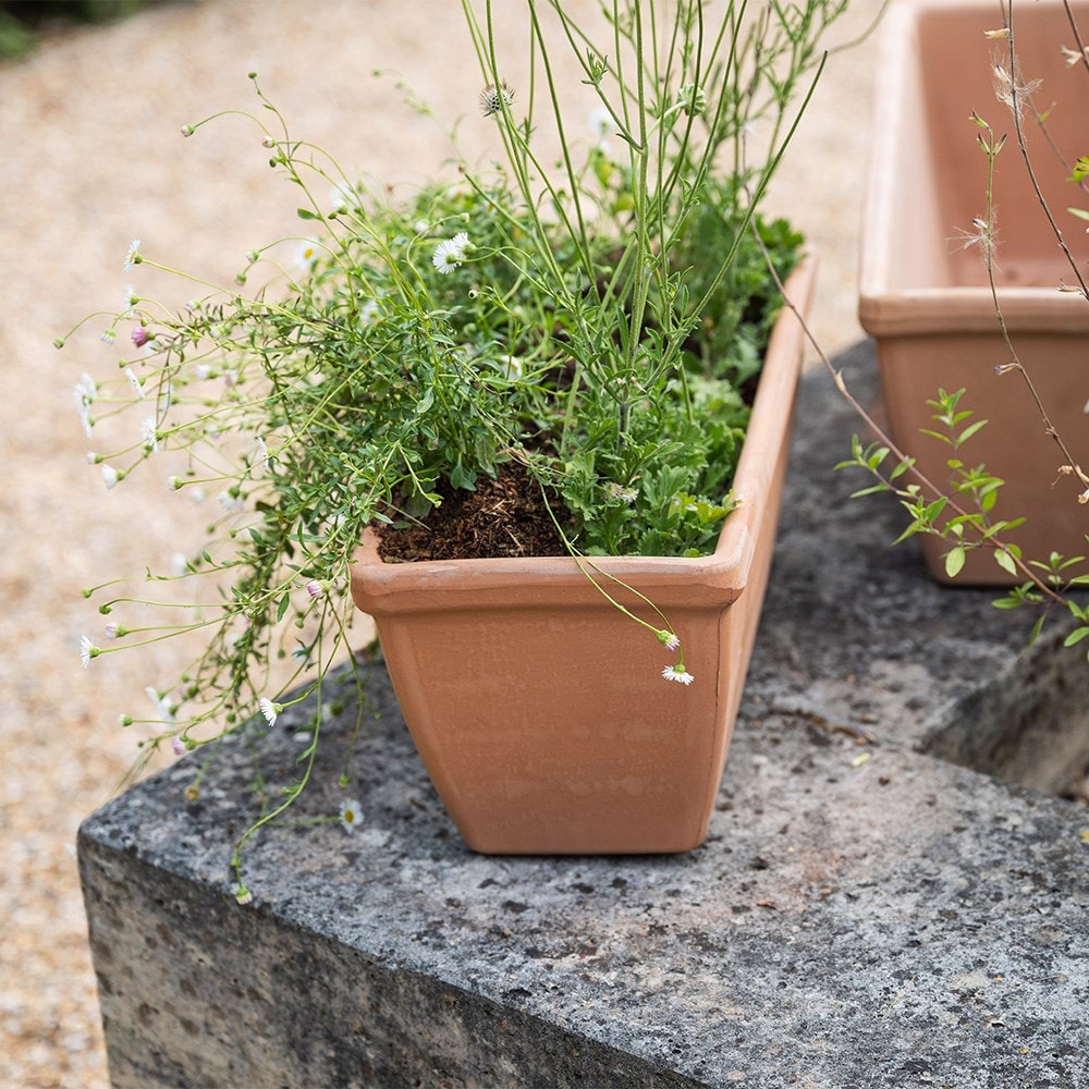 Roma terracotta trough - whitewash