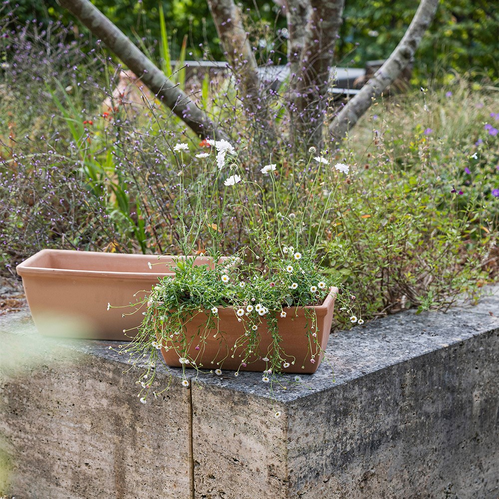 Roma terracotta trough - whitewash