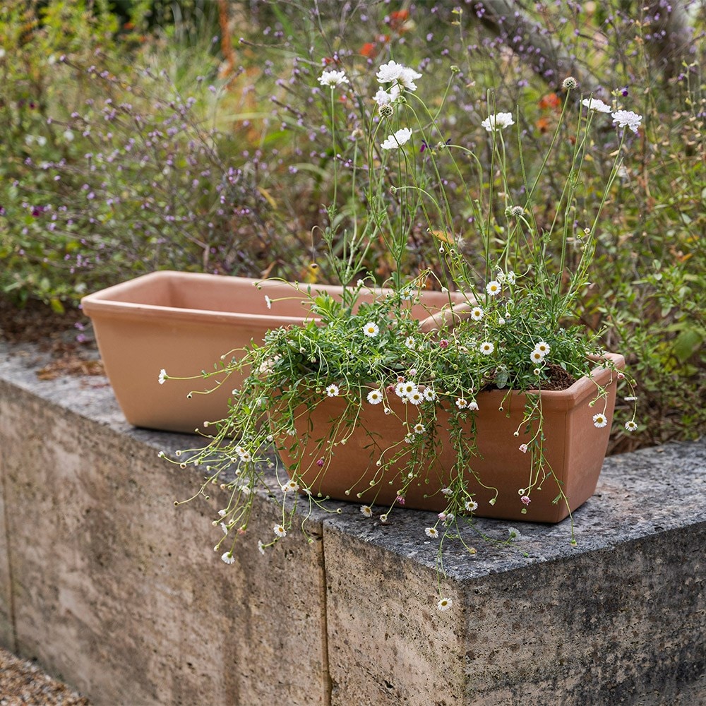 Roma terracotta trough - whitewash