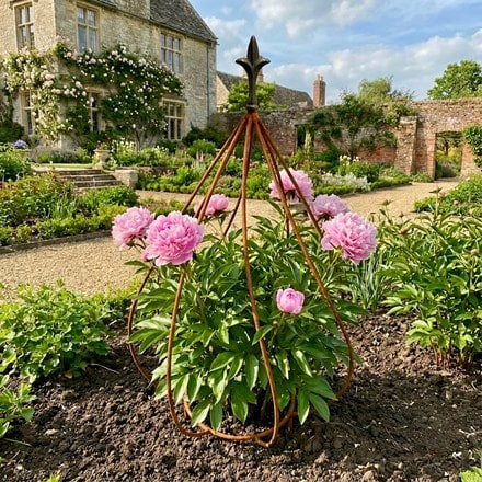 Fleur de lys crown plant support - rust