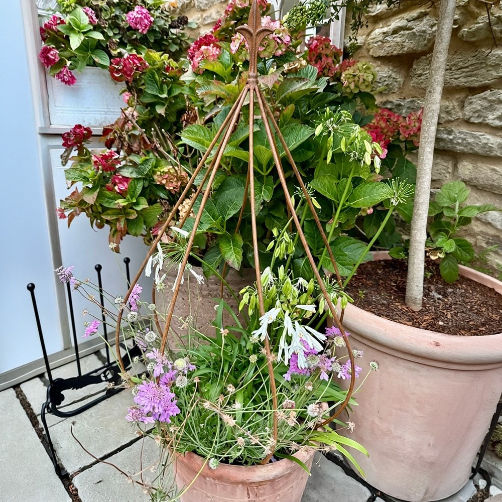 Fleur de lys crown plant support - rust