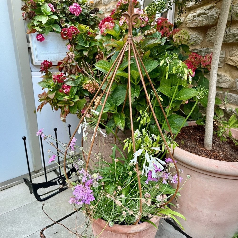 Fleur de lys crown plant support - rust