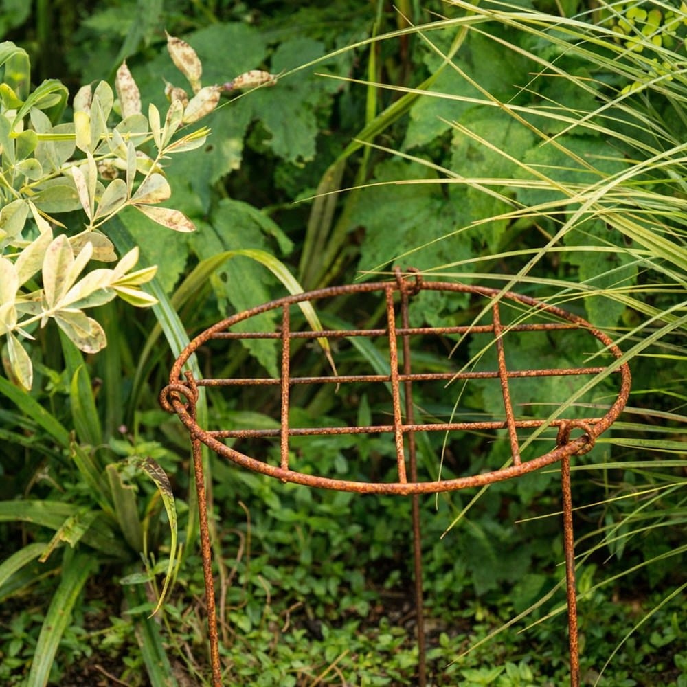 Grow through ring support - rust