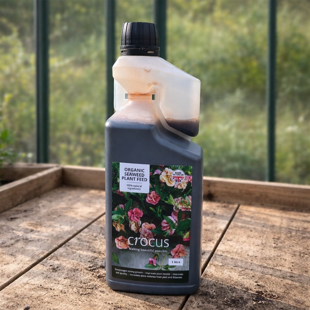 Crocus organic seaweed plant feed