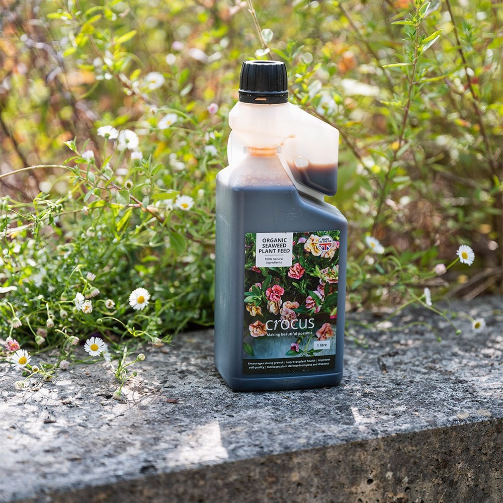 Crocus organic seaweed plant feed