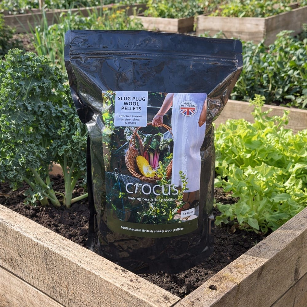 Product options image