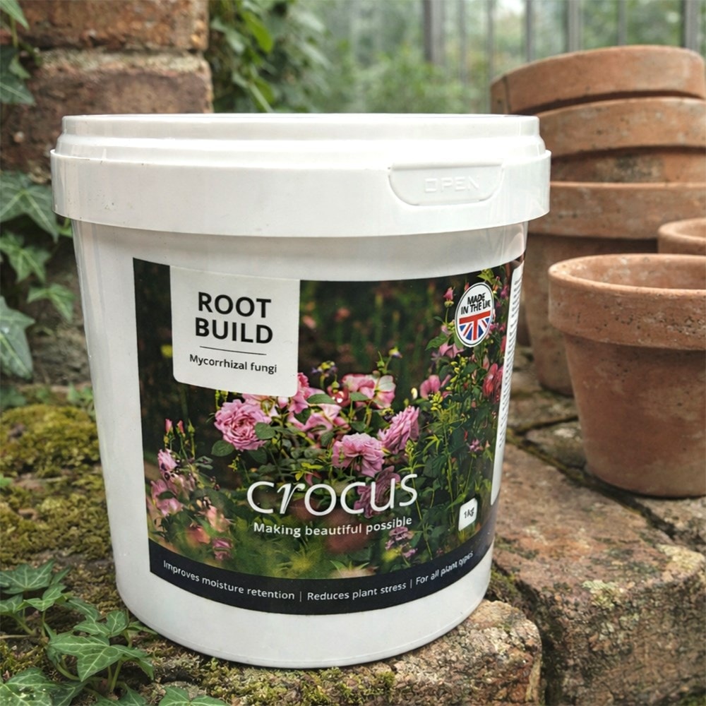 Root build - mycorrhizal fungi